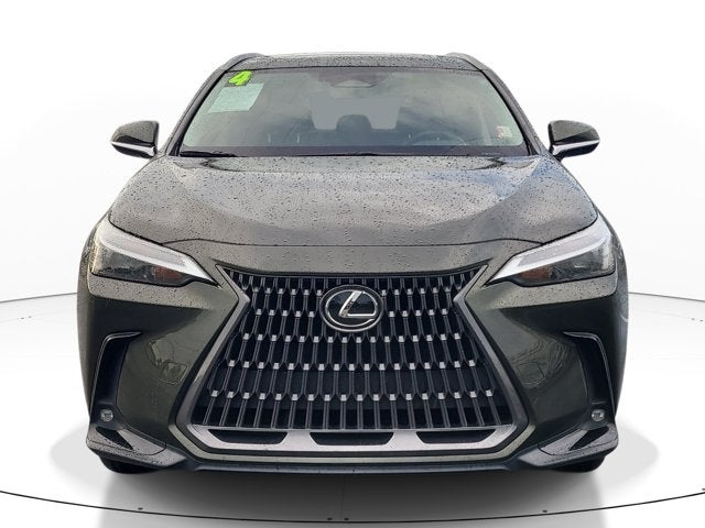 2024 Lexus NX NX 250