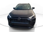 2025 Toyota RAV4 Hybrid XLE Premium