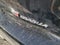 2025 Toyota GR Corolla Core
