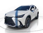 2024 Lexus NX NX 250 Premium