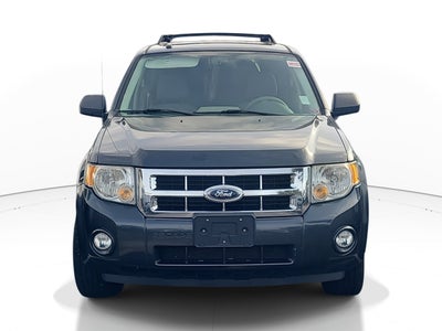 2008 Ford Escape XLT