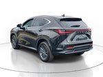 2024 Lexus NX NX 250 Premium