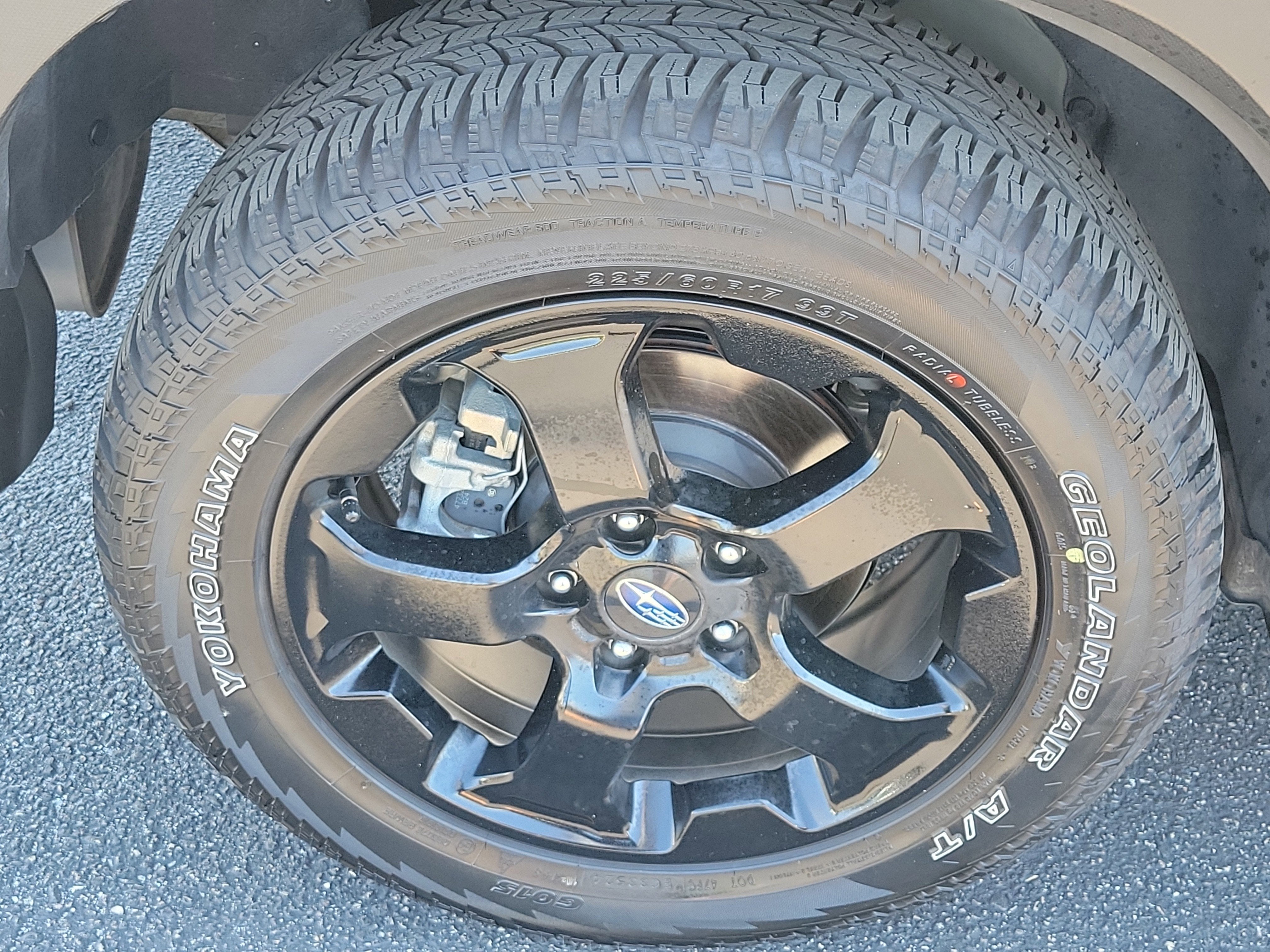 2024 Subaru Forester Wilderness