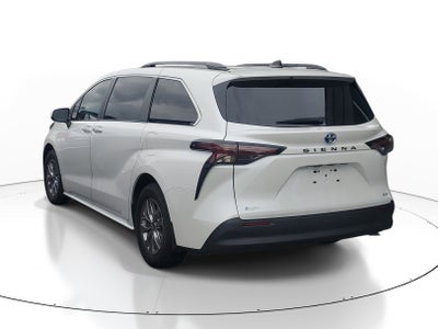 2025 Toyota Sienna XLE